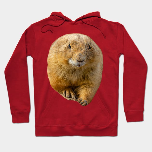 Prairie dog Hoodie by dalyndigaital2@gmail.com